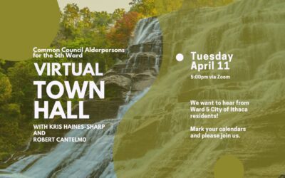 Virtual Town Hall with Robert Cantelmo and Kris Haines-Sharp